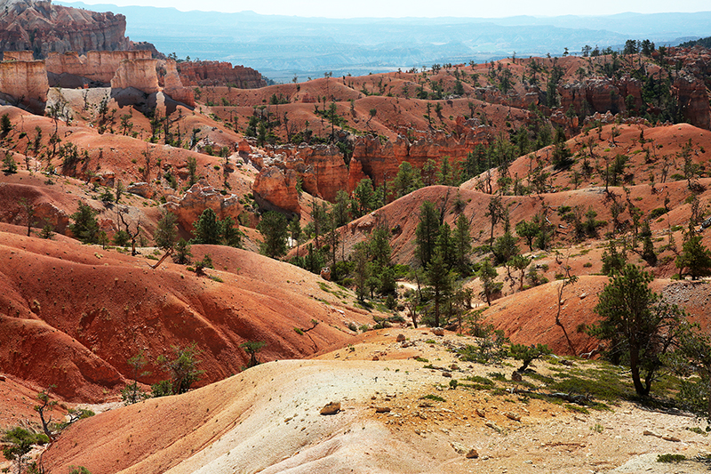 Bryce Canyon : Utah : Landscape Photos : Richard Moore : Photographer